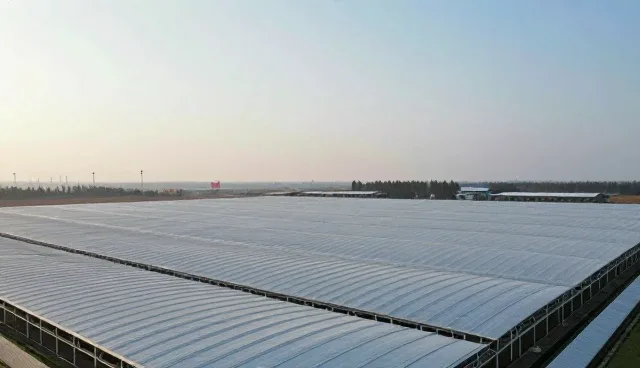 技术转让在实际应用中如何提高转化率