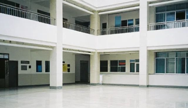 技术转让在组织发展中的选型与应用建议